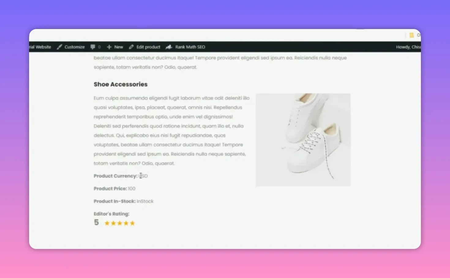 WooCommerce product page for Shoe Accessories displaying product currency, price, stock status, editor rating, and product image