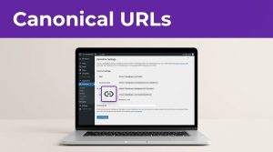 How to Set Canonical URLs WordPress Right